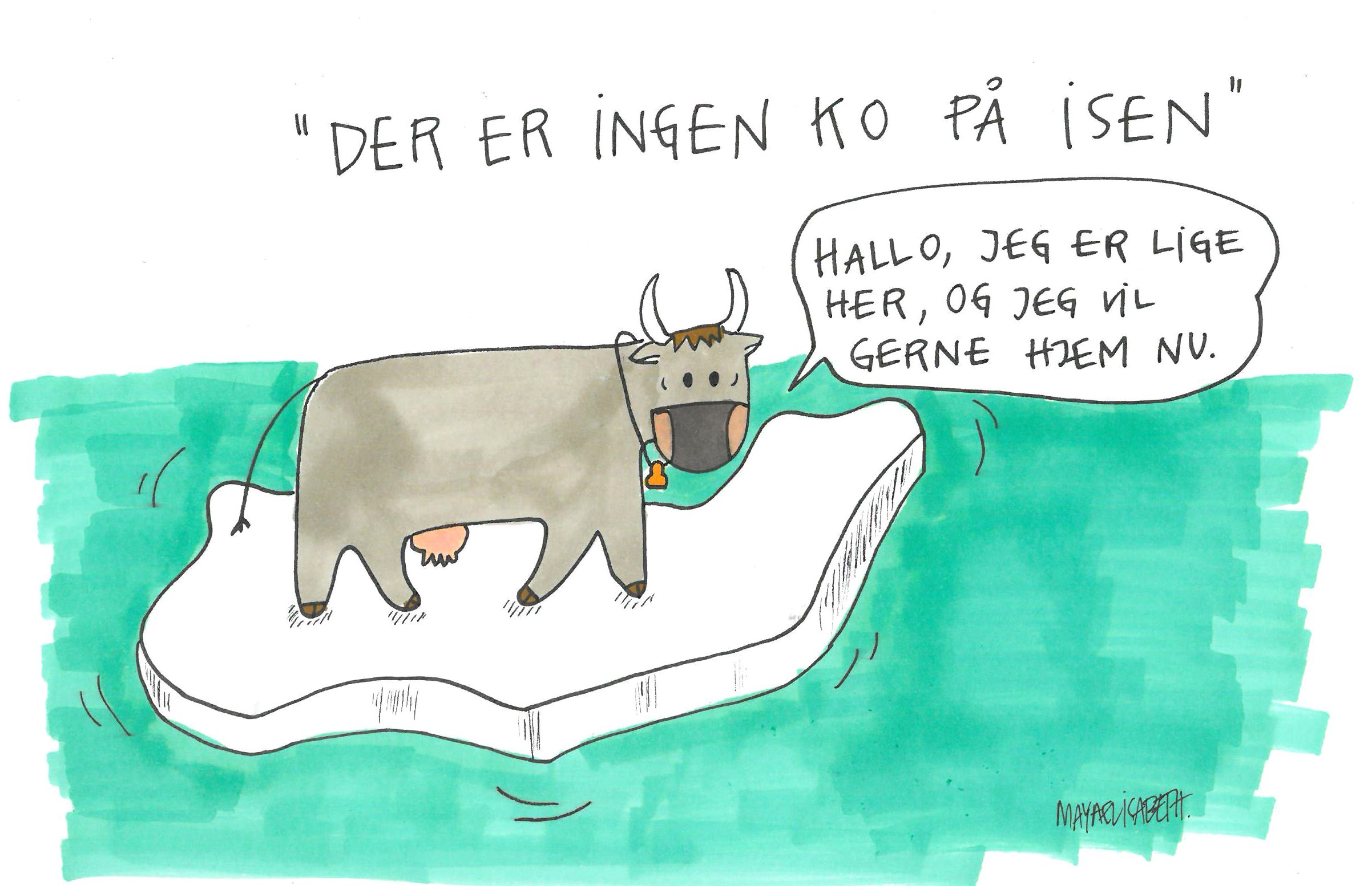 idiomer